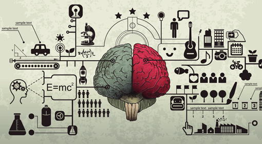 memory network, learning, dementia, Alzheimers, memory, brain