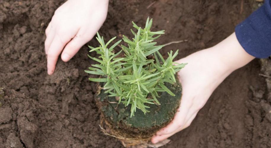 Raising Kids: I have many younger friends who are raising kids or considering it. Allow my perspective to join the other unsolicited advice with which you are bombarded.