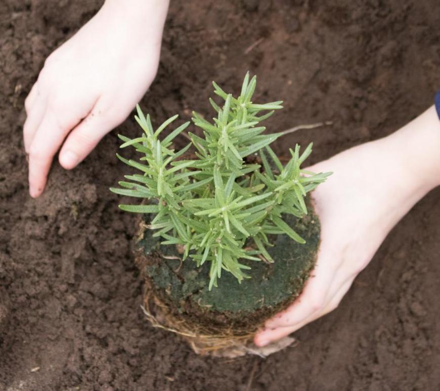 Raising Kids: I have many younger friends who are raising kids or considering it. Allow my perspective to join the other unsolicited advice with which you are bombarded.